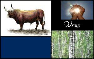 Uruz (ELEMIAH VOYANCE 08 99 96 90 99)