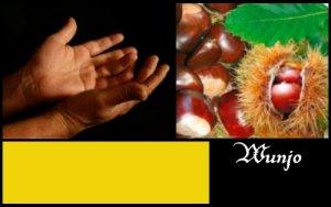 Wunjo (ELEMIAH VOYANCE 08 99 96 90 99)