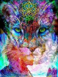 Nos âmes sont de grandes voyageuses