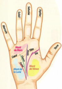 Chiromancie : Comment Lire les Mains et Interpréter les Signes | Elemiah Voyance