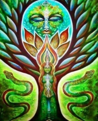 L'organisation du monde non ordinaire